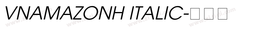 VNAmazonH Italic字体转换
